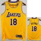 22/23 LAKERS KAZUHA #18 Yellow Top Quality Hot Pressing NBA Jersey(圆领)