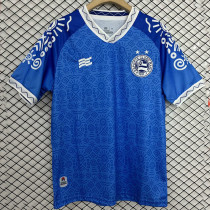 24/25 BaHia November Commemorative Edition Fans Soccer Jersey