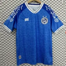 24/25 BaHia November Commemorative Edition Fans Soccer Jersey