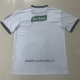 22/23 Palestino Deportivo White Head Portrait Special Edition Fans Soccer Jersey