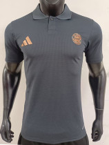2025  Bayern Grey  Player Version  Polo Shirt