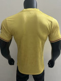 24/25 Bayern Yellow 125th Anniversary Edition  Player Version Soccer Jersey