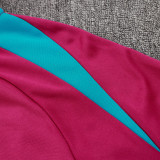 24/25 PSG Purple Hooded  Half Pull Tracksuit(Add Fluff)  (半拉链、加绒F598)