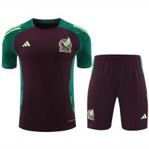 24/25  Mexico maroon Training Short Suit