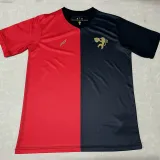 24/25 Recife Anniversary Edition Fans Soccer Jersey