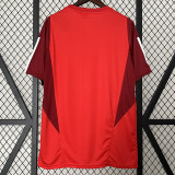 24/25  Internacional  Red Training shirts