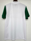 25/26  Palmeiras Away Fans Soccer Jersey