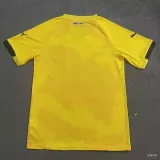 24/25 Dortmund Yellow Training Shirts