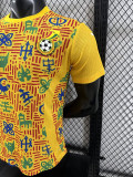 24/25 Ghana Yellow  Player Version Pre Match Training Shirts
