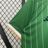 24/25 Celtic Green Special Edition Fans Soccer Jersey