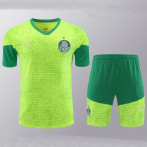 24/25  Palmeiras Grass Green Training Short Suit （草绿）