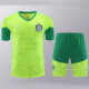 24/25  Palmeiras Grass Green Training Short Suit （草绿）