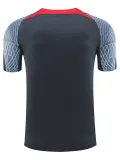 24/25  LIV Dark Grey Training Shirts
