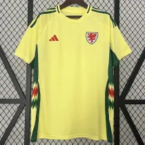 2024 Wales Away Fans Soccer Jersey
