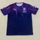 24/25Chivas Esports version Fans Soccer Jersey（电竞版）