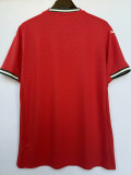 25/26 Portugal Home 1:1 Fans Soccer Jersey