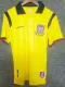 25/26 Ecuador Yellow Fans Soccer Jersey