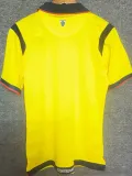 25/26 Ecuador Yellow Fans Soccer Jersey