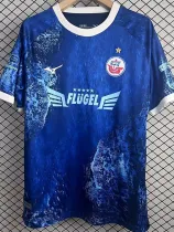 25/26 FC Hansa Rostock  Special Edition  Blue Fans Soccer Jersey