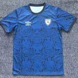 25/26 Guatemala Blue Training T-shirt