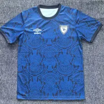 25/26 Guatemala Blue Training T-shirt