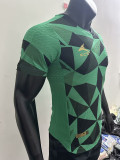 24/25 AEK FC Green  Fans Soccer Jersey