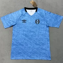 25/26 Gremio Sky Blue Training shirts