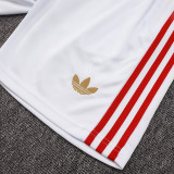 25/26 Bayern 125th Anniversary Edition White Training Vest Suit #D2536