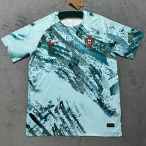 25/26  Portugal Light Green  Training shirts