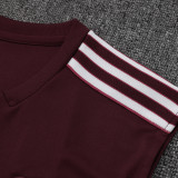 25/26  Bayern Maroon Training vest  Suit #D25276