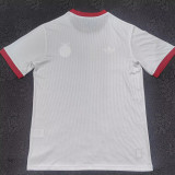 25/26 Benfica Special Edition White  Fans Soccer Jersey