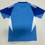 25/26 JUV Goalkeeper Blue Fans Soccer Jersey