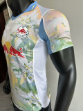 25/26 RB Salzburg Special Edition  Player Version Soccer Jersey (萨尔茨堡红牛)