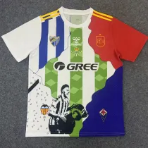 25/26 Real Betis Huajin Special Co branded Edition   Fans Soccer Jersey