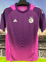 25/26 Nigeria Goalkeeper Purple  Fans Soccer Jersey