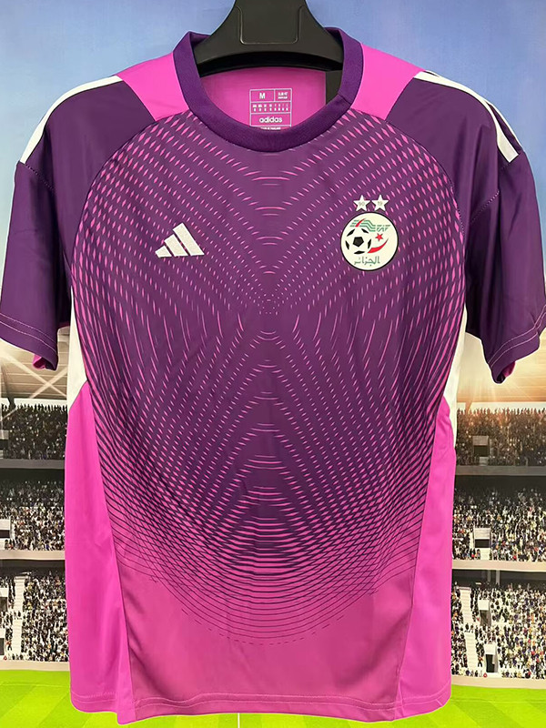 25/26 Nigeria Goalkeeper Purple  Fans Soccer Jersey