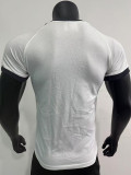 2025 Germany White 1:1 Pure Cotton T-shirt(纯棉)