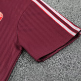25/26  Bayern Maroon Retro Training Short Suit （直纹）
