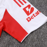 25/26 Benfica Third   Player Version Soccer Jersey& Black pants
