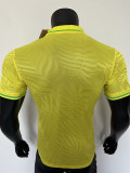 25/26 Brazil Leaf Map Special Edition  Player Version Soccer Jersey（带五星）