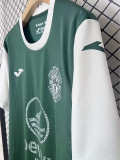 25/26 Hibernian FC Home Fans Soccer Jersey