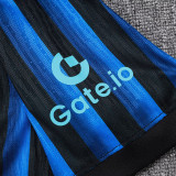 25/26  INT Home  Player Version Soccer Jersey& Grey  pants