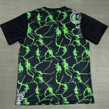25/26  INT  Snake Special Edition Black & Green Fans Training shirt