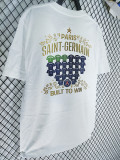 2025 PSG Navy White Champions League pure cotton T-shirt#No.9(纯棉 ）