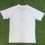 25/26  Lyon Home  Fans  Soccer Jersey