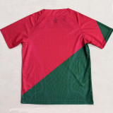 25/26 Morocco Special Edition Red Green Training Shirts
