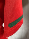 2010 Portugal Home Player Version Retro Soccer Jersey (球员)