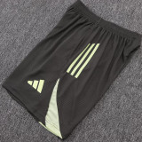 25/26  RMA Grey Player Version Training Short Suit