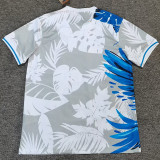 25/26 Brazil Eagle Special Edition Grey White  Fans Soccer Jersey