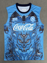 25/26  Napoli Blue vest